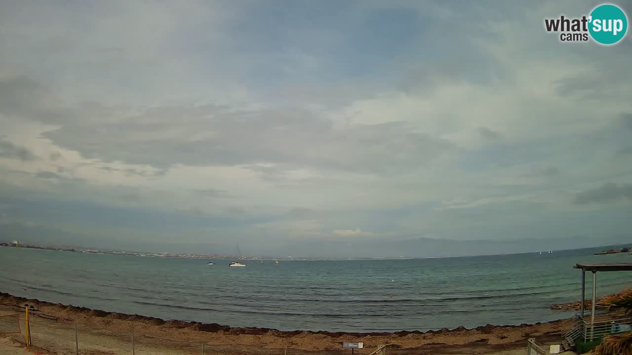 Webcam Cagliari Windsurf Club – Live from Poetto Beach