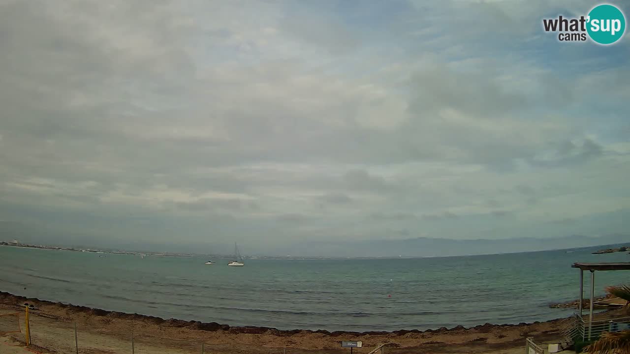 Webcam Cagliari Windsurf Club – Liveblick vom Poetto Strand