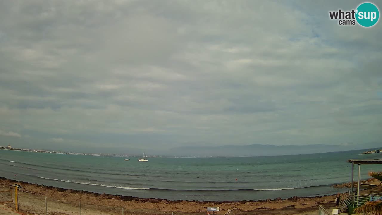 Webcam Cagliari Windsurf Club – Playa del Poetto en directo