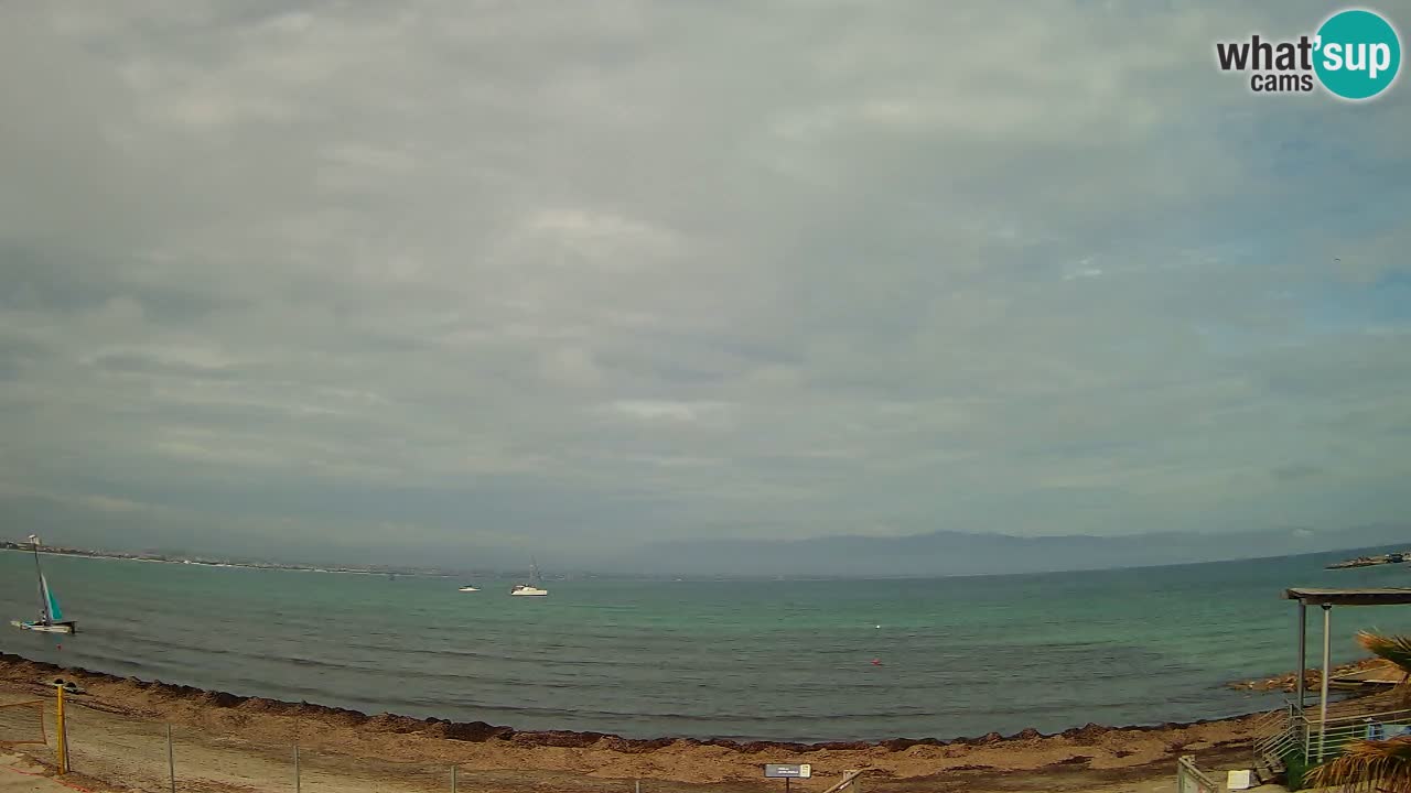 Webcam Cagliari Windsurf Club – Spiaggia del Poetto in diretta