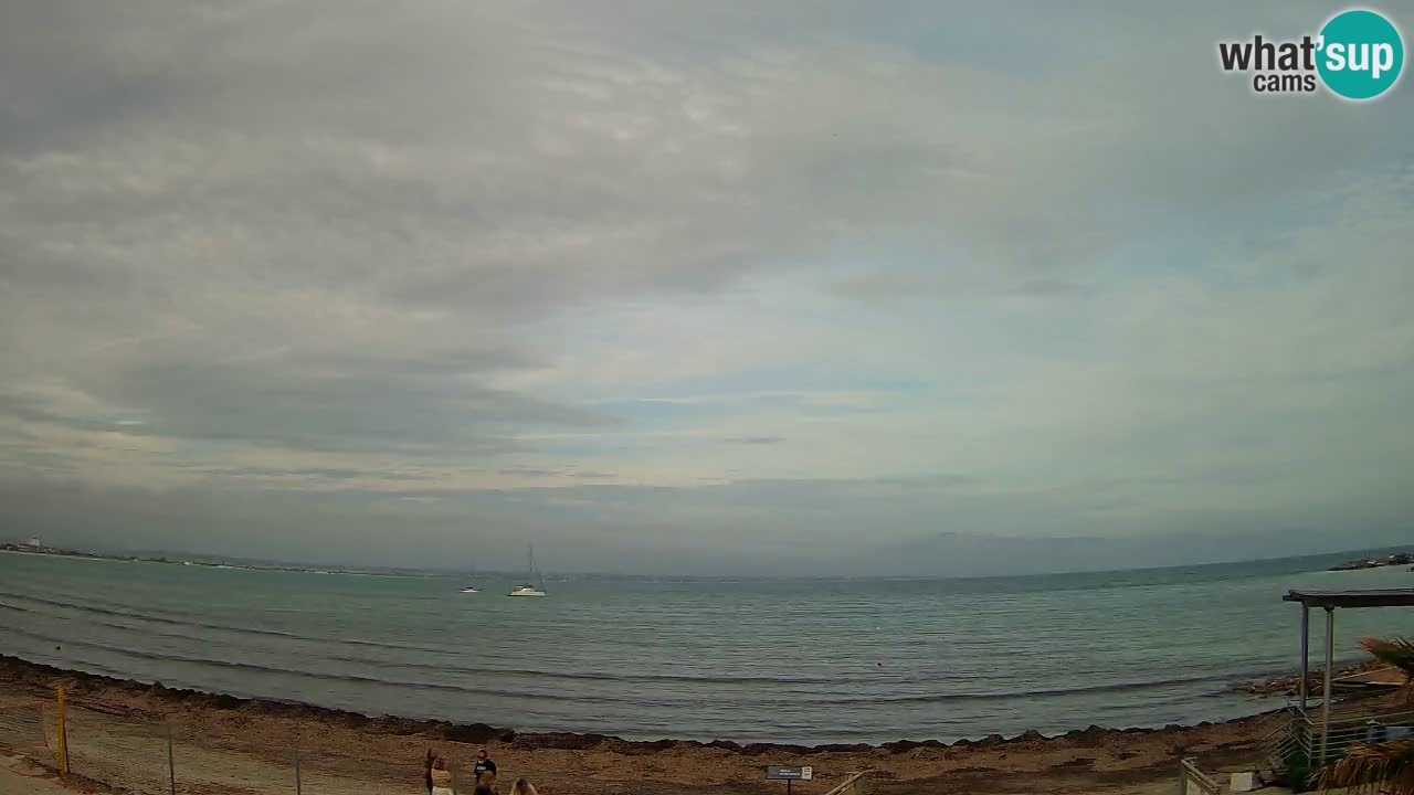 Webcam Cagliari Windsurf Club – Live from Poetto Beach