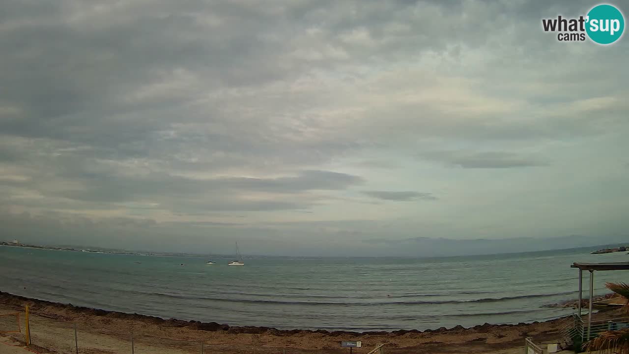 Webcam Cagliari Windsurf Club – Live from Poetto Beach