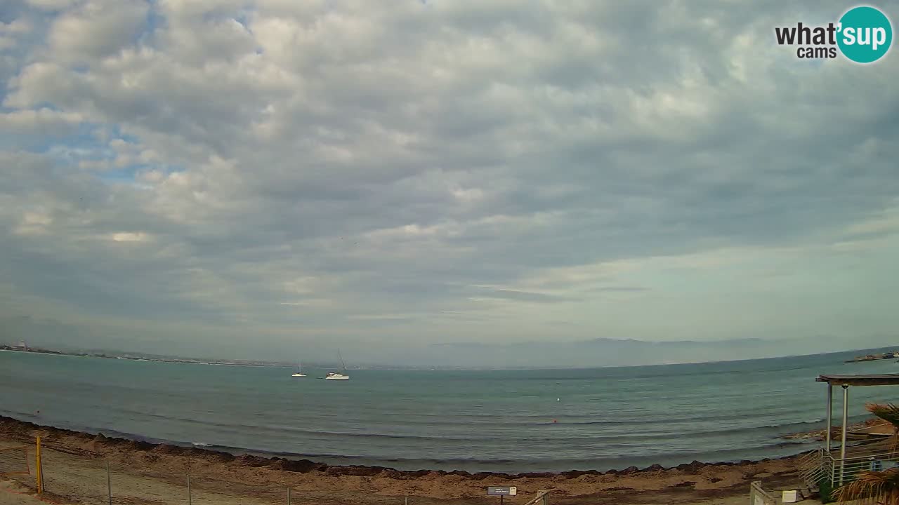 Spletna kamera Cagliari Windsurf Club – Pogled v živo s plaže Poetto