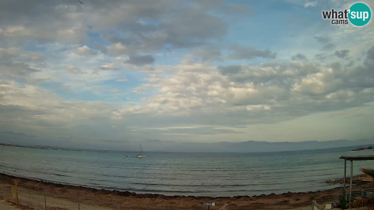 Spletna kamera Cagliari Windsurf Club – Pogled v živo s plaže Poetto