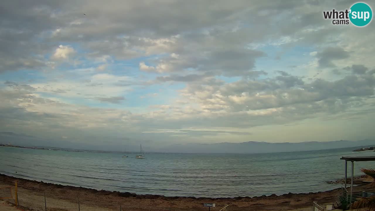 Webcam Cagliari Windsurf Club – Live from Poetto Beach