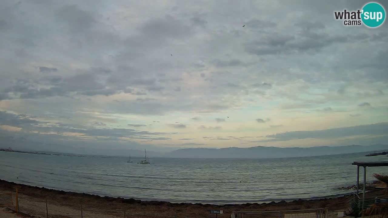Webcam Cagliari Windsurf Club – Plage du Poetto en direct