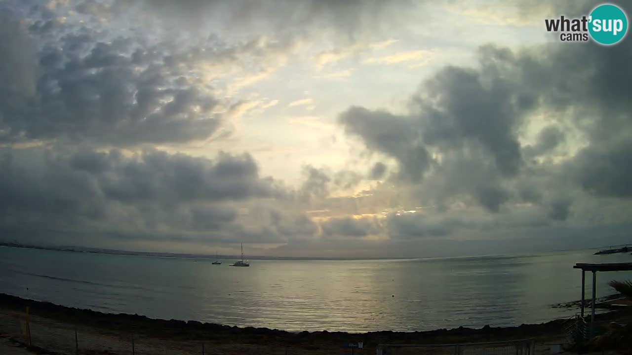 Webcam Cagliari Windsurf Club – Live from Poetto Beach