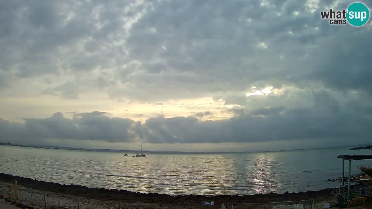 Webcam Cagliari Windsurf Club – Plage du Poetto en direct
