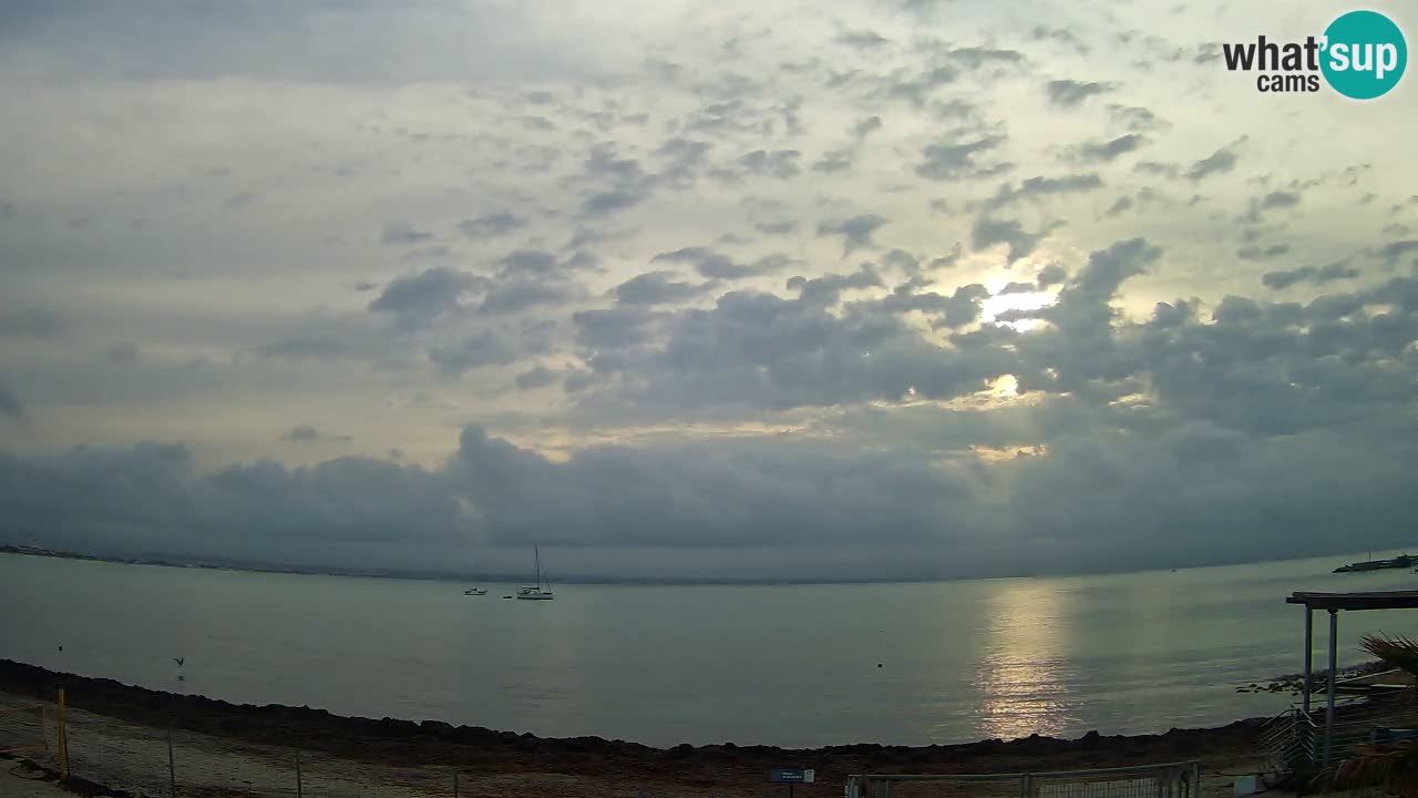 Webcam Cagliari Windsurf Club – Plage du Poetto en direct