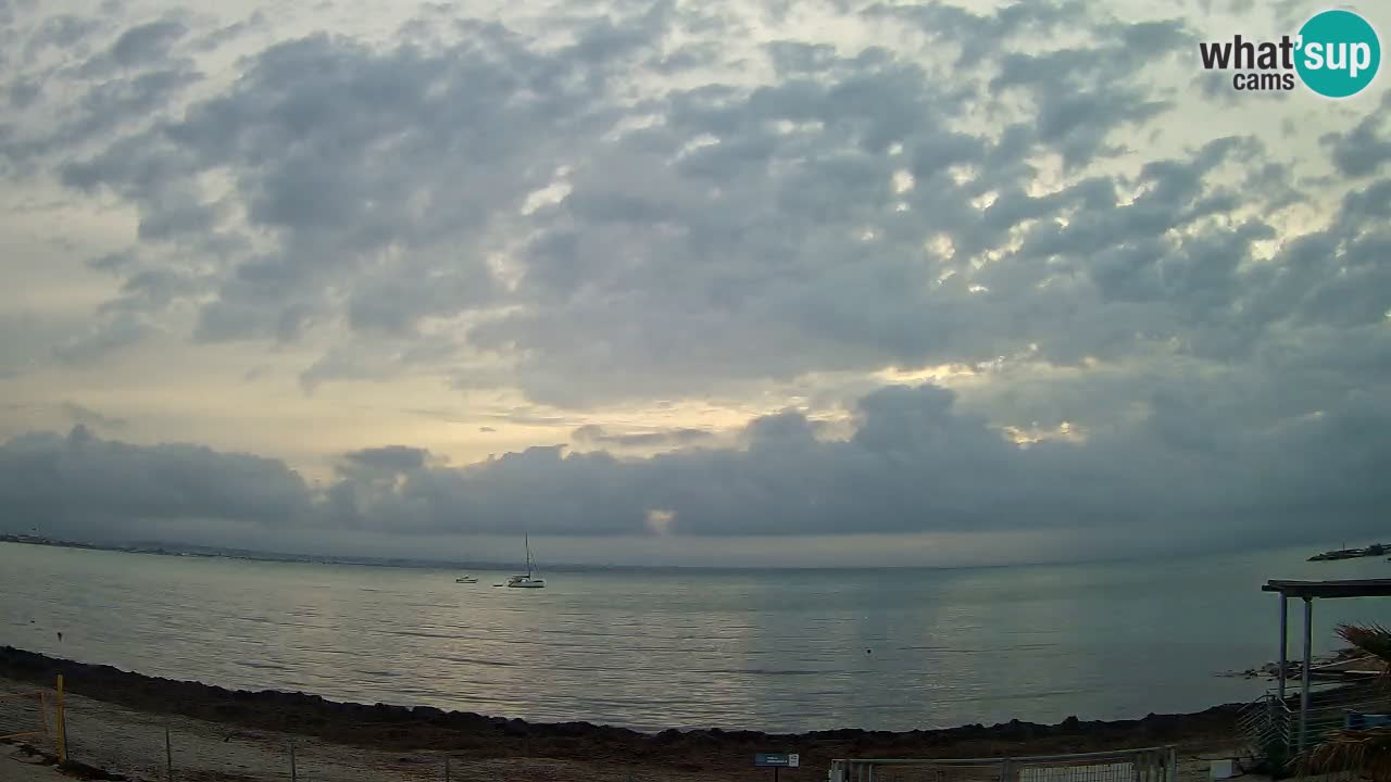 Webcam Cagliari Windsurf Club – Liveblick vom Poetto Strand