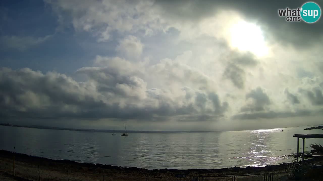 Web kamera Cagliari Windsurf Club – Poetto plaža uživo