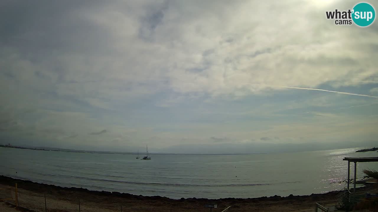 Webcam Cagliari Windsurf Club – Plage du Poetto en direct