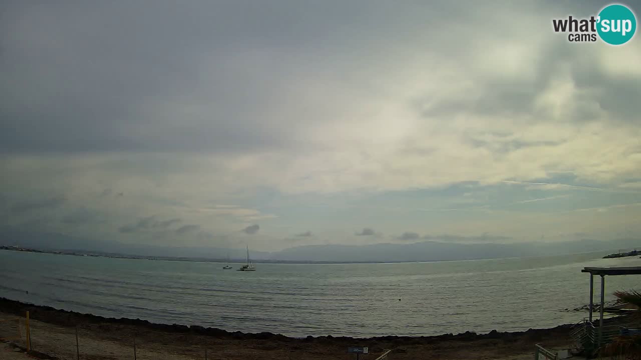 Webcam Cagliari Windsurf Club – Liveblick vom Poetto Strand
