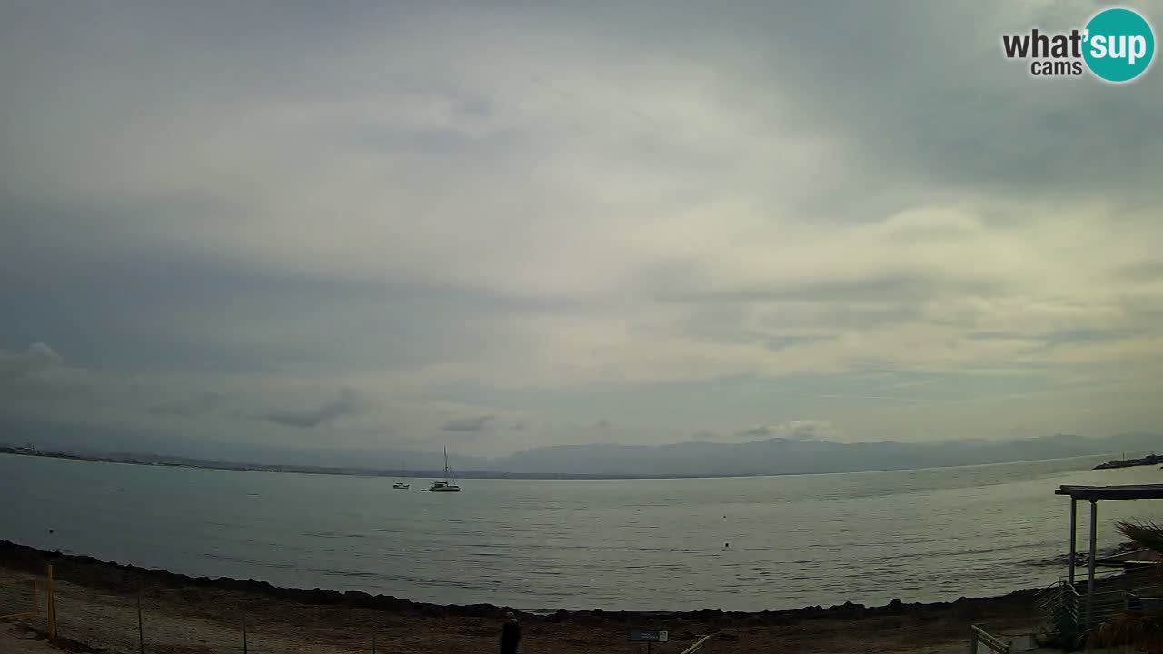 Webcam Cagliari Windsurf Club – Playa del Poetto en directo