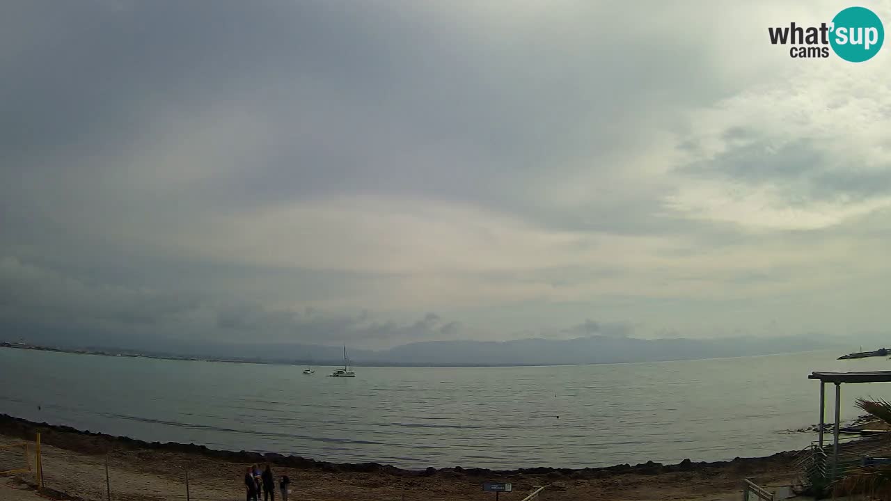Webcam Cagliari Windsurf Club – Plage du Poetto en direct