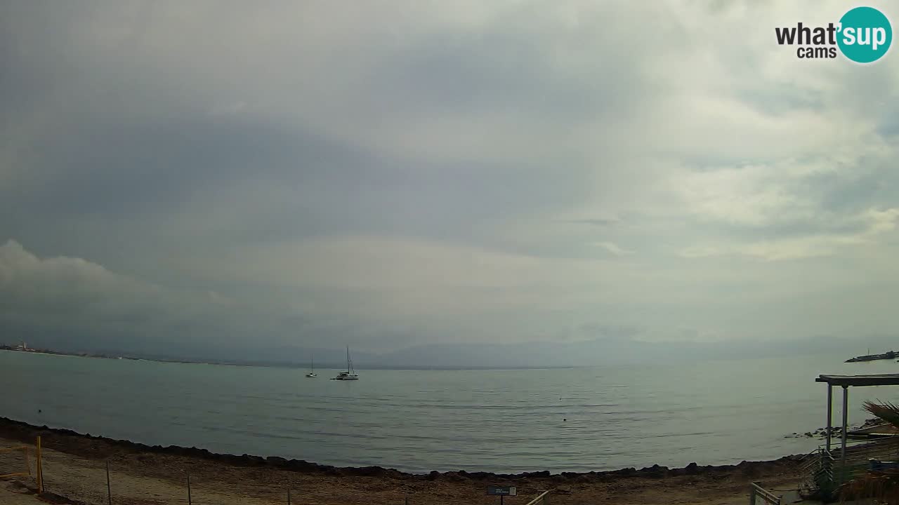 Webcam Cagliari Windsurf Club – Plage du Poetto en direct
