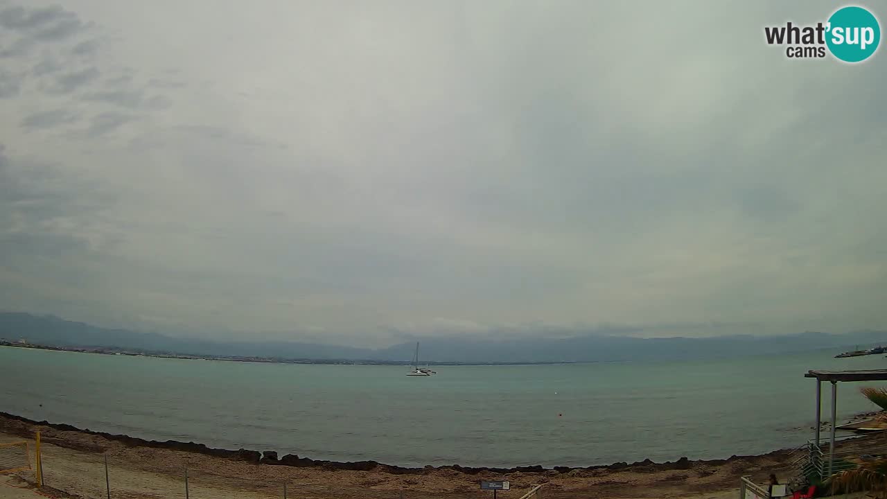 Webcam Cagliari Windsurf Club – Plage du Poetto en direct