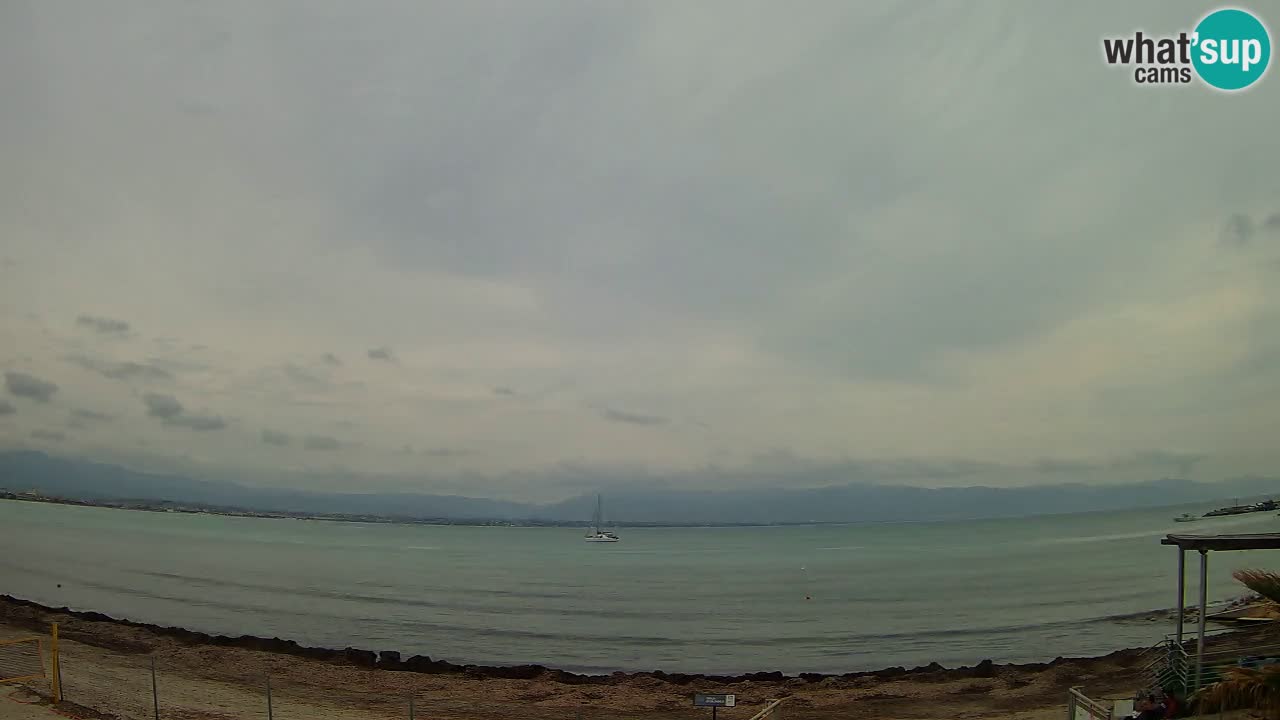 Webcam Cagliari Windsurf Club – Plage du Poetto en direct