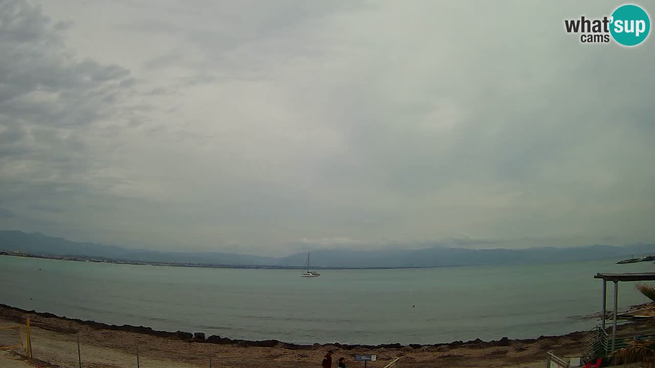Webcam Cagliari Windsurf Club – Playa del Poetto en directo