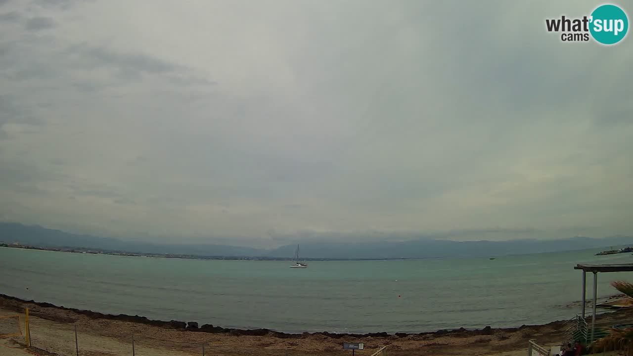 Webcam Cagliari Windsurf Club – Plage du Poetto en direct