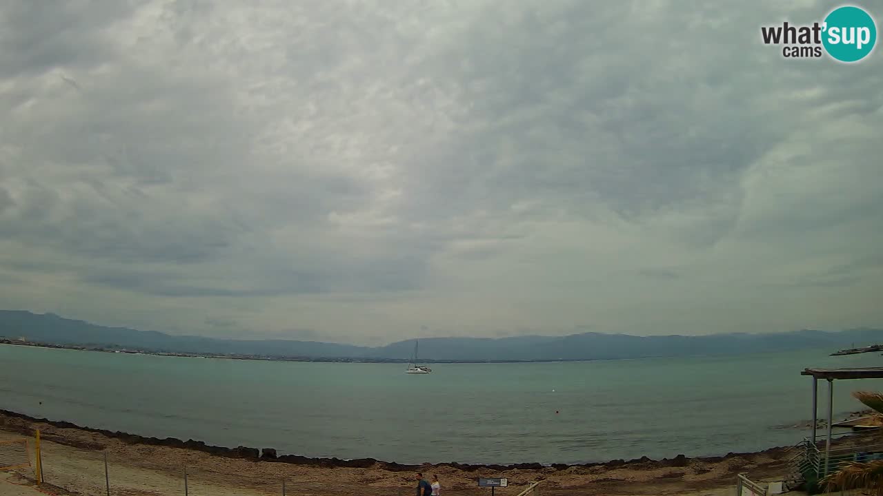 Webcam Cagliari Windsurf Club – Spiaggia del Poetto in diretta