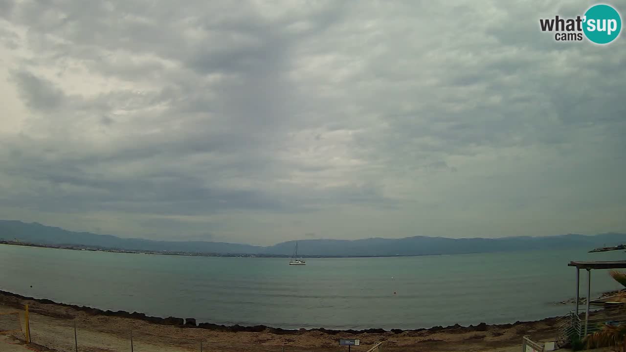 Webcam Cagliari Windsurf Club – Plage du Poetto en direct