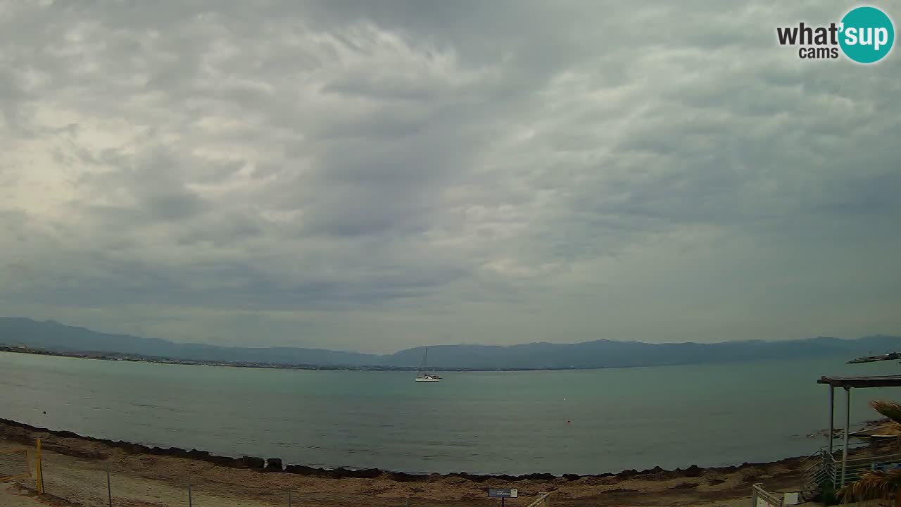 Webcam Cagliari Windsurf Club – Playa del Poetto en directo