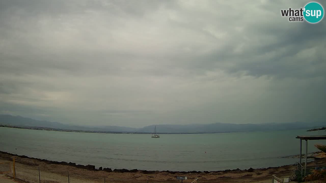 Webcam Cagliari Windsurf Club – Liveblick vom Poetto Strand