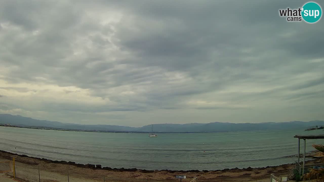 Webcam Cagliari Windsurf Club – Liveblick vom Poetto Strand