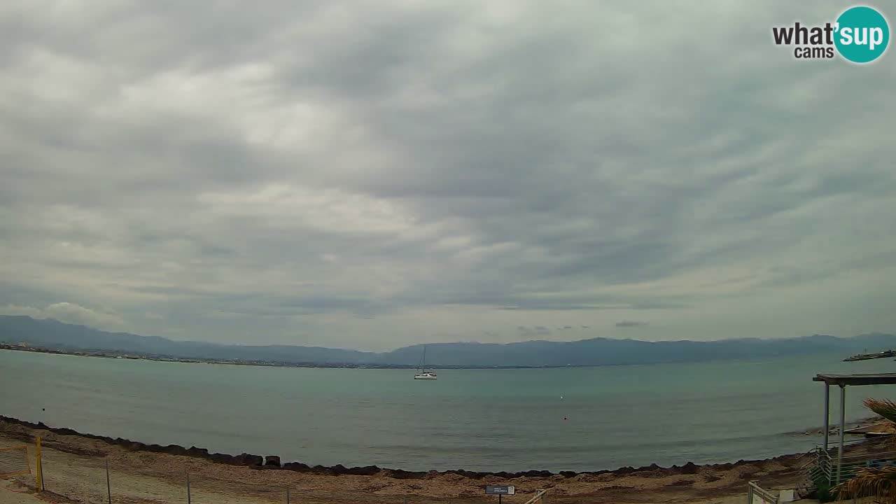 Webcam Cagliari Windsurf Club – Live from Poetto Beach