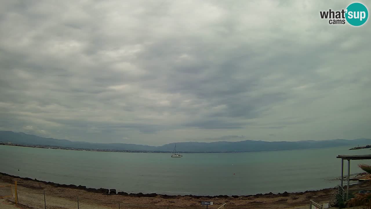 Webcam Cagliari Windsurf Club – Plage du Poetto en direct