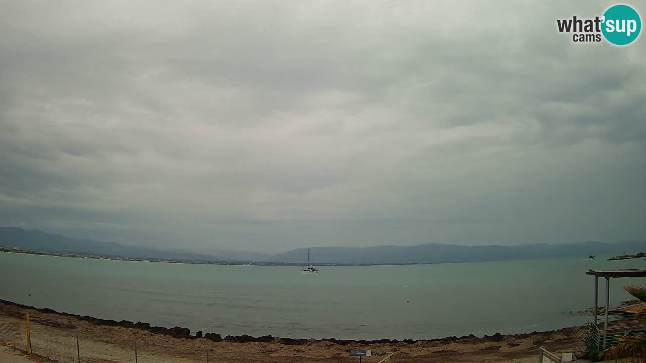 Webcam Cagliari Windsurf Club – Playa del Poetto en directo