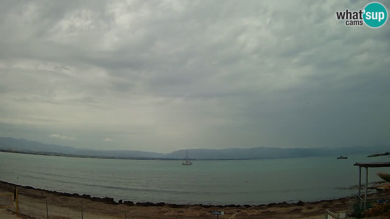 Webcam Cagliari Windsurf Club – Plage du Poetto en direct