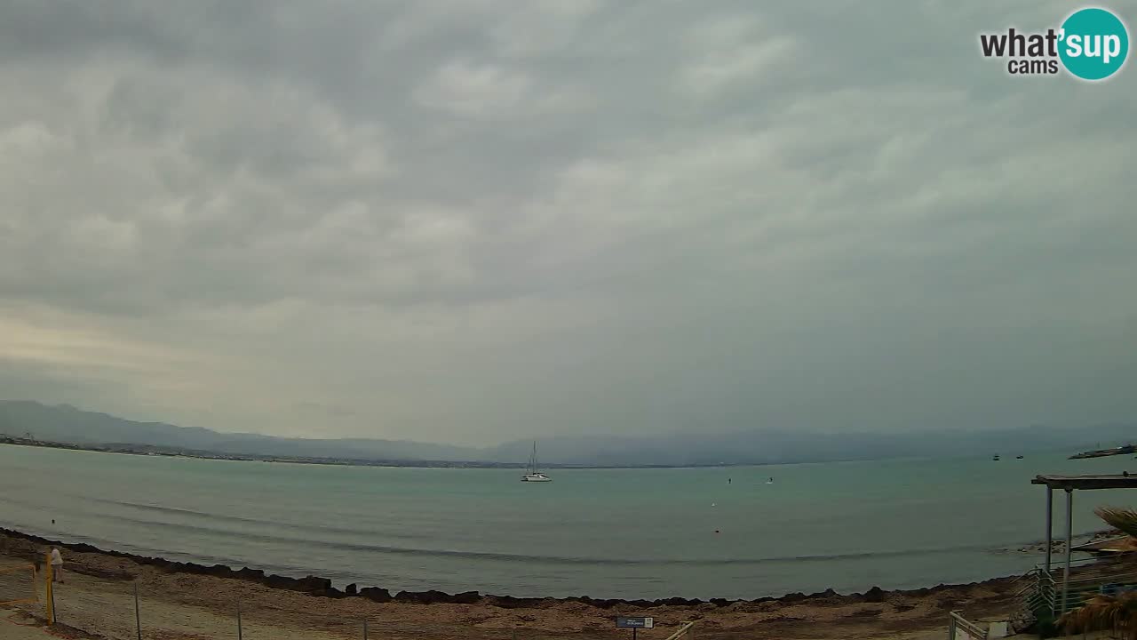 Webcam Cagliari Windsurf Club – Liveblick vom Poetto Strand