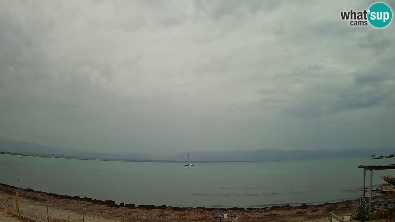 Webcam Cagliari Windsurf Club – Live from Poetto Beach