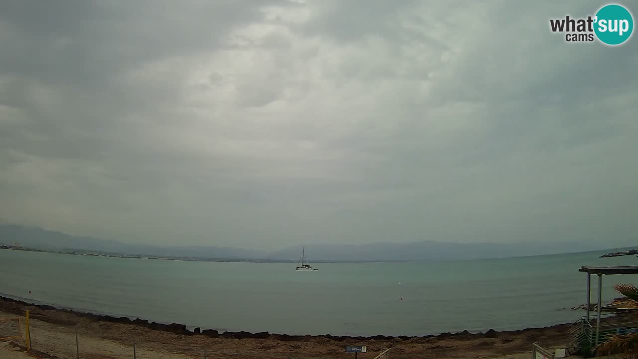 Webcam Cagliari Windsurf Club – Plage du Poetto en direct