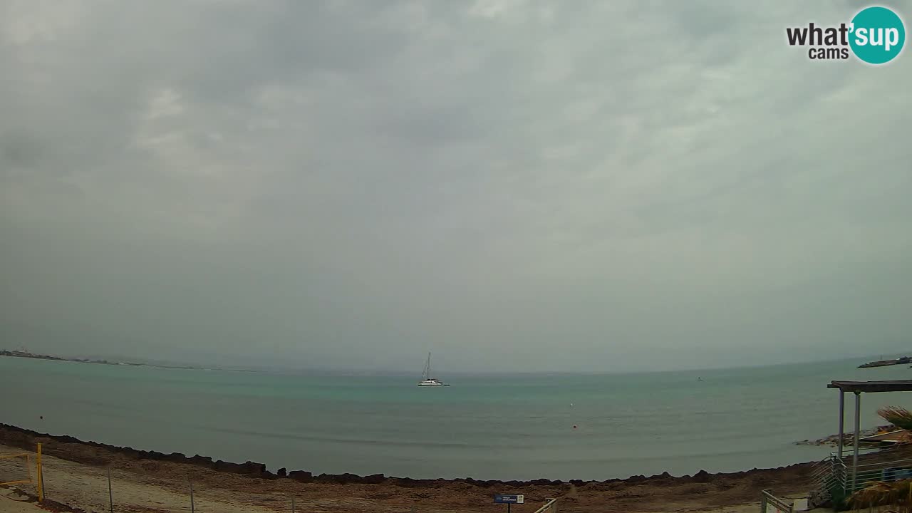 Webcam Cagliari Windsurf Club – Live from Poetto Beach