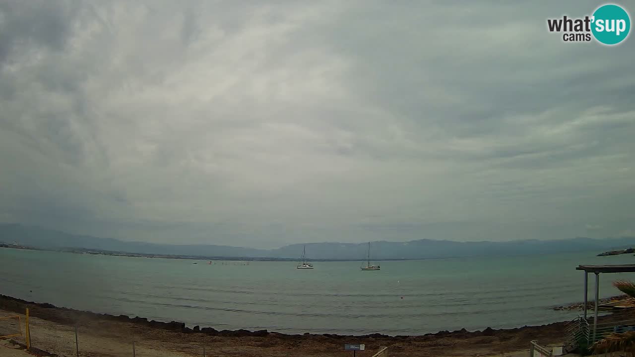 Webcam Cagliari Windsurf Club – Plage du Poetto en direct