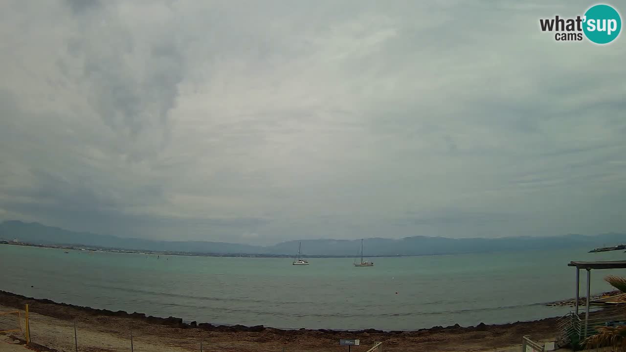 Web kamera Cagliari Windsurf Club – Poetto plaža uživo