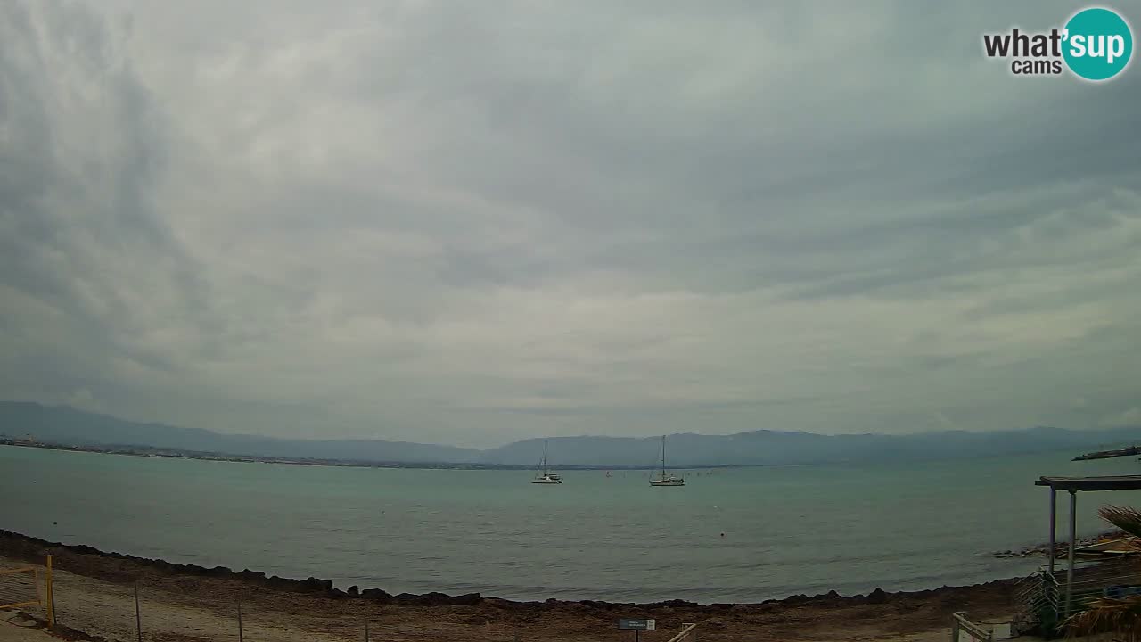 Spletna kamera Cagliari Windsurf Club – Pogled v živo s plaže Poetto