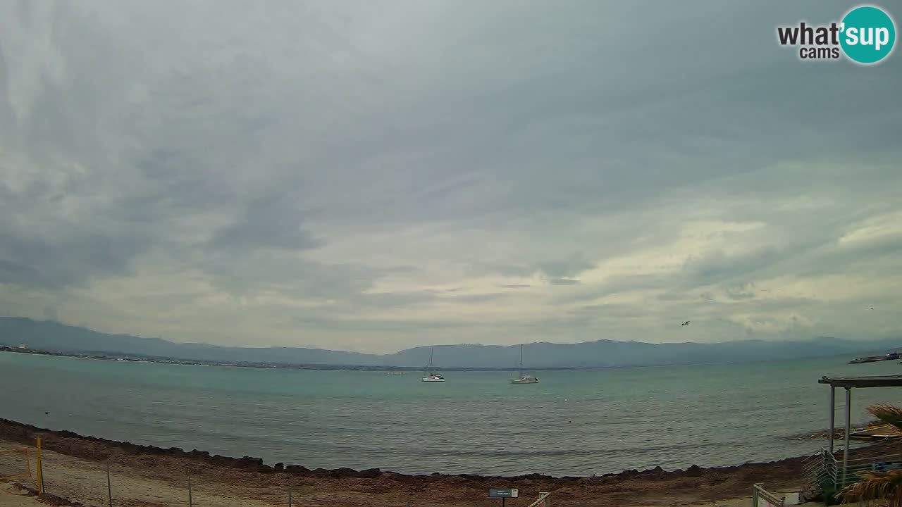 Webcam Cagliari Windsurf Club – Plage du Poetto en direct