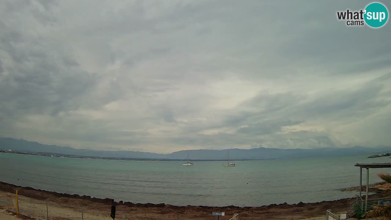 Spletna kamera Cagliari Windsurf Club – Pogled v živo s plaže Poetto