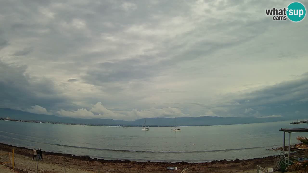 Webcam Cagliari Windsurf Club – Plage du Poetto en direct