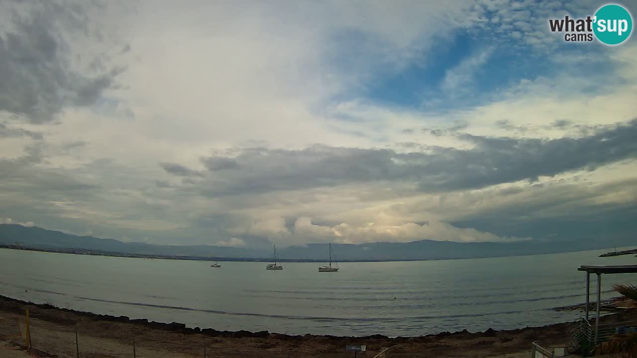 Webcam Cagliari Windsurf Club – Plage du Poetto en direct