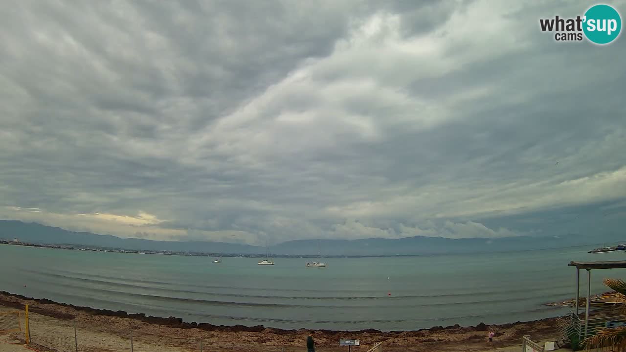 Webcam Cagliari Windsurf Club – Plage du Poetto en direct