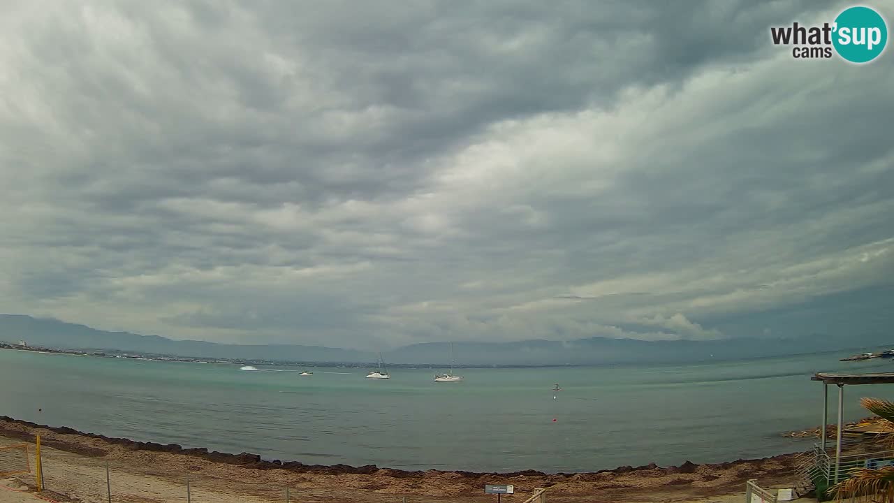 Webcam Cagliari Windsurf Club – Live from Poetto Beach