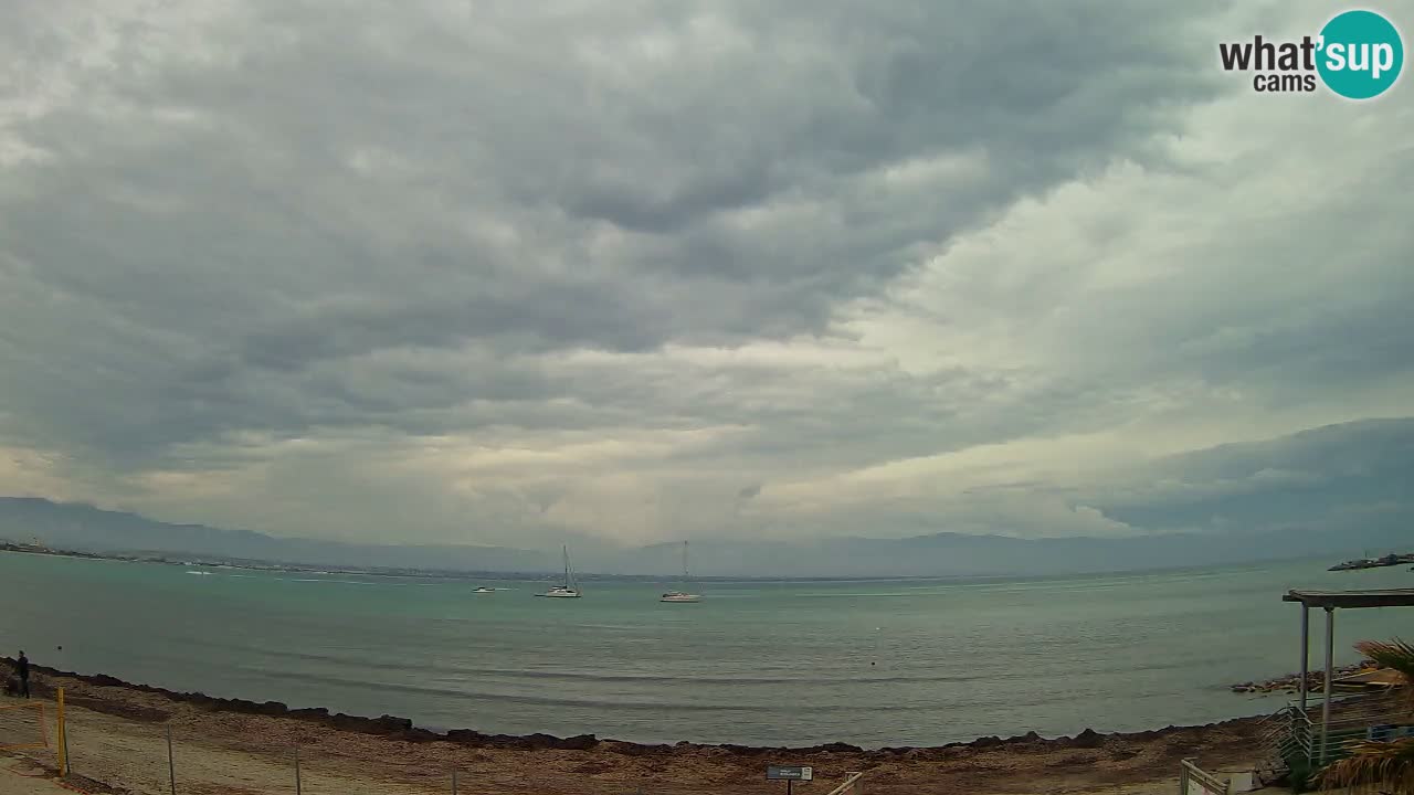 Webcam Cagliari Windsurf Club – Plage du Poetto en direct