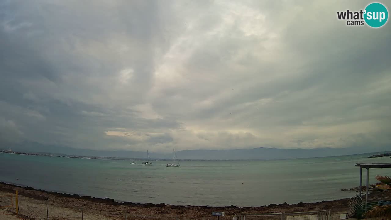 Spletna kamera Cagliari Windsurf Club – Pogled v živo s plaže Poetto