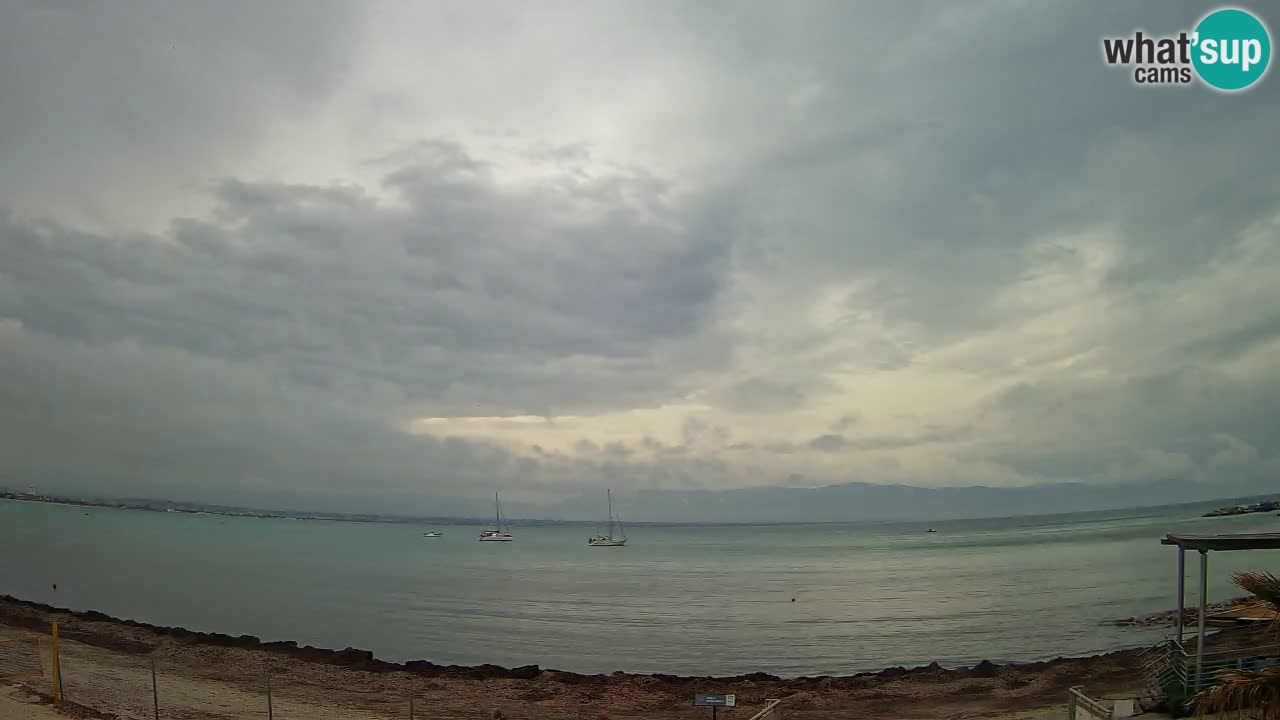 Webcam Cagliari Windsurf Club – Live from Poetto Beach