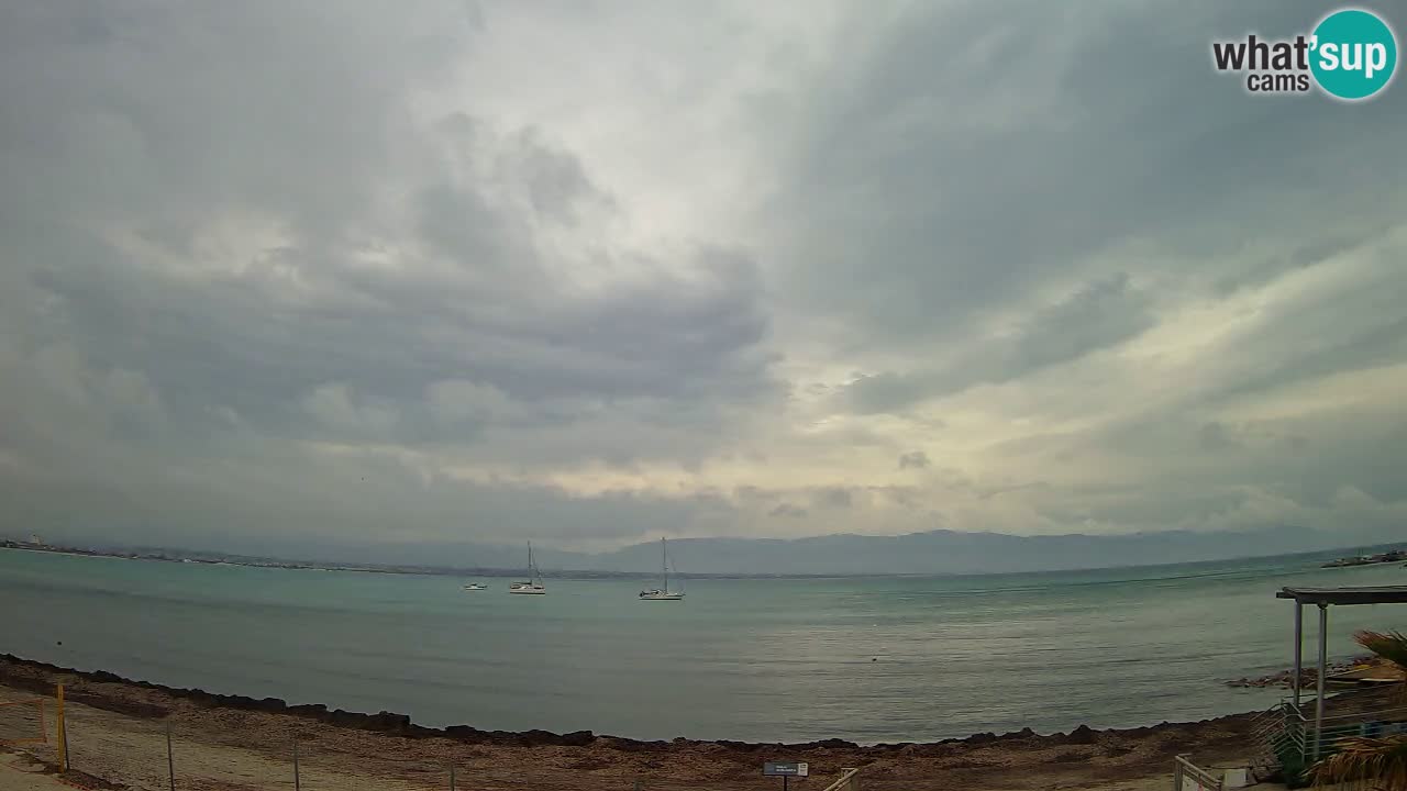 Webcam Cagliari Windsurf Club – Playa del Poetto en directo